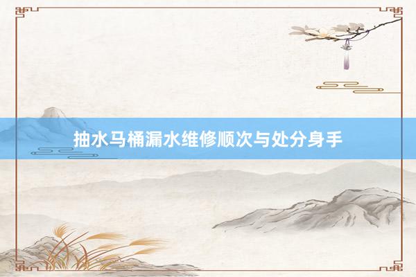 抽水马桶漏水维修顺次与处分身手